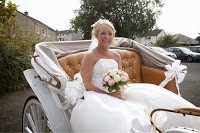Prestige Wedding Carriages 1076048 Image 5